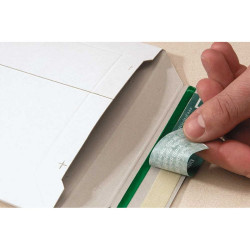 White cardboard envelope