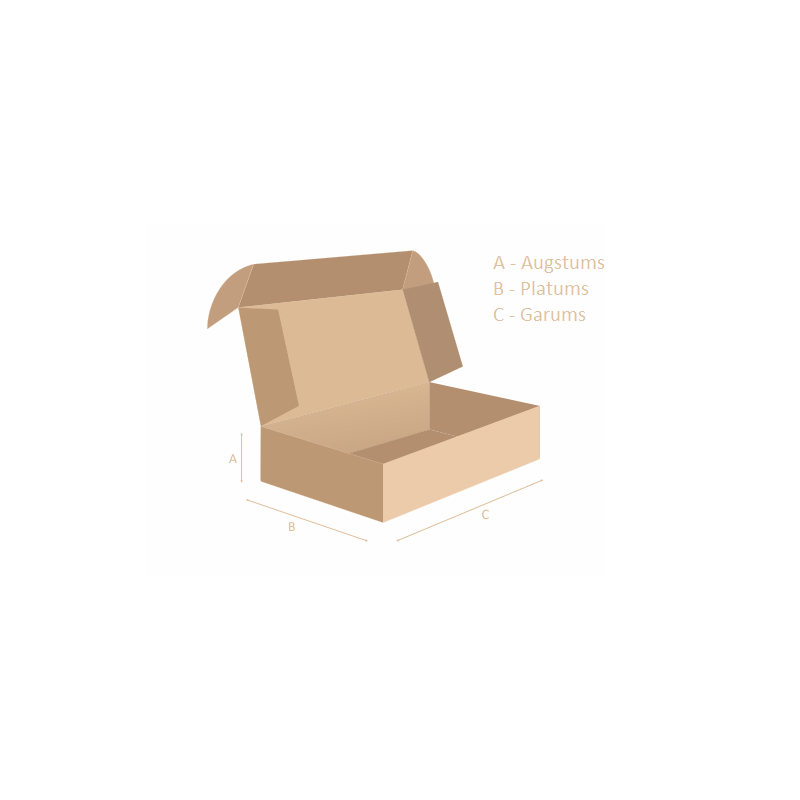 Cardboard box - 270 x 330 x 60 mm FEFCO 0427